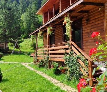 Snidavka House | Садиба На скелі