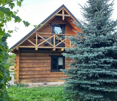 Snidavka House | Садиба Сенчина