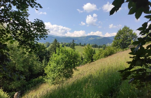 Snidavka House | Серце Карпат!