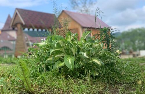 Skhidnytsya Apartment | Східниця