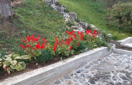 Verkhovyna House | Тихий Куточок