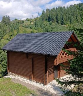 Snidavka House | Тиша