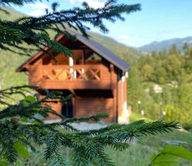 Snidavka House | Тиша