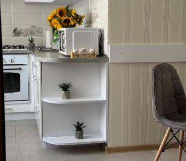 Kamenets-Podol'skiy Apartment | Центр міста Апартаменты