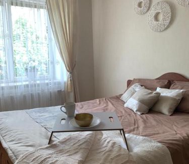 Ternopil Apartment | Центр (2). Простора квартира. С. Крушельницької