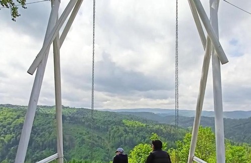 Myhove Cabin | Шаленарозі