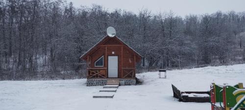 Velikiy Les Hotel | Шафран