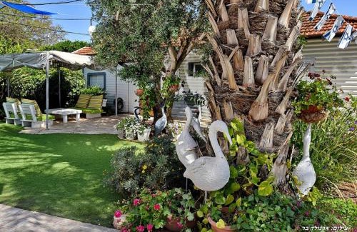 Elifelet Cabin | אחוזת אלכסנדר