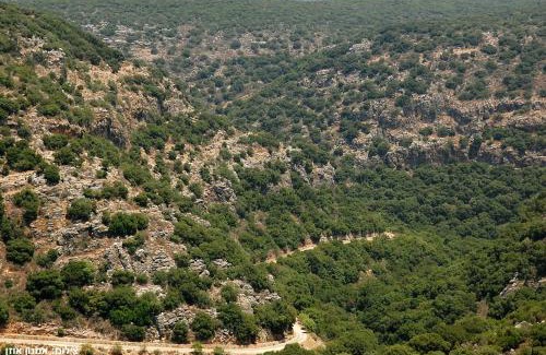 Ma'alot - Tarshiha House | אחוזת נחל כזיב