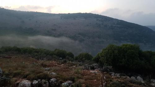 Ma'alot - Tarshiha House | אחוזת נחל כזיב