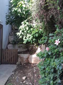 Kfar Vradim Apartment | אירוח בכפר ורדים גברת פלפלת