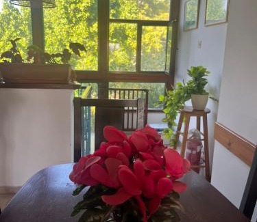 Katzrin House | אירוח גאלה בגולן