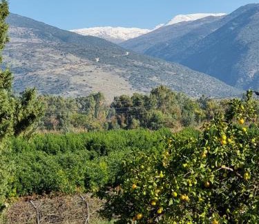 She'ar Yashuv Apartment | אל מול חרמון- דירה באווירה כפרית עם נוף לחרמון