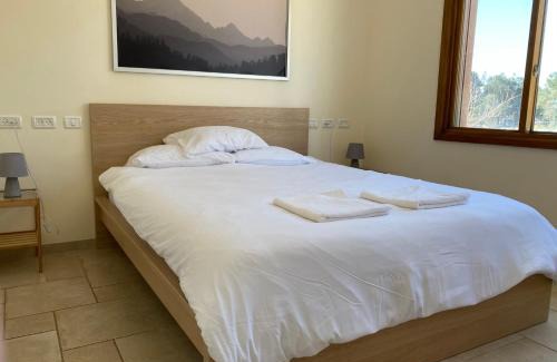 El-Rum House | בחצר של יאיר