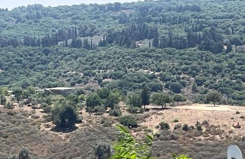 Yodfat Apartment | בית המרפא שלי healing place