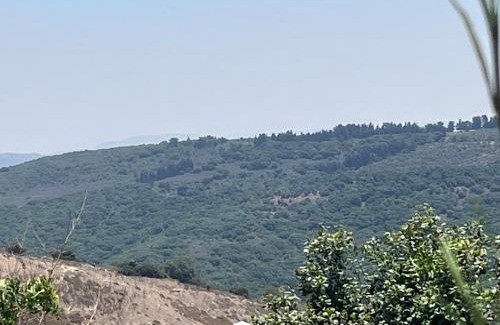 Yodfat Apartment | בית המרפא שלי healing place