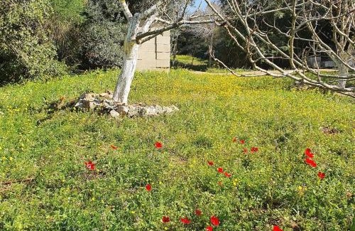 Michmanim Apartment | הבית ליד הבוסתן