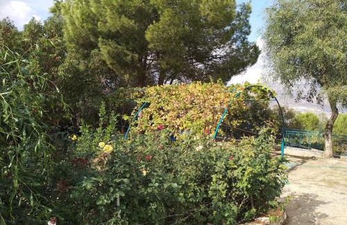 Michmanim Apartment | הבית ליד הבוסתן