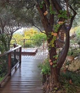 Amirim Villa | הבית של שירי