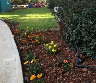 El-Rum Bed & Breakfast | החן בירוק