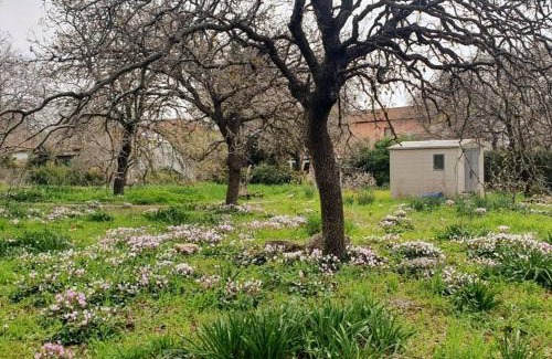 Emek Izrael Apartment | יחידת דיור נעימה, יפה ומוארת עם חצר קדמית גדולה