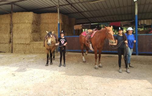 Vered Hagalil Apartment | מול הכנרת Over looking the Sea of Galilee