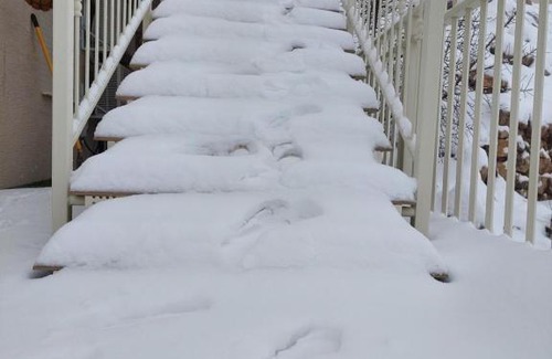 Majdal al-Shams Cabin | מצפה השלגים