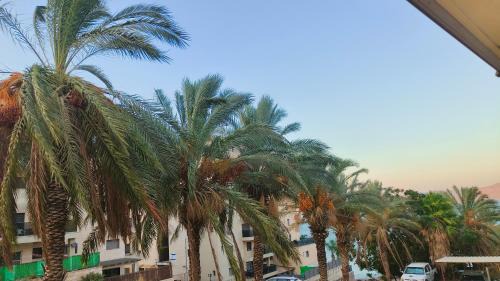 Tiberias Apartment | נופש חלומי בכנרת