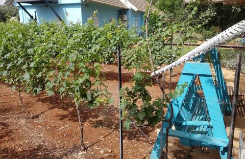 Ramot Naftali Cabin | נפגשים בחצר בין ההרים - -