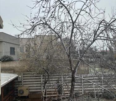 Bruchim Qela' Alon Cabin | סוויטת לורד הרמיטאז' בגולן