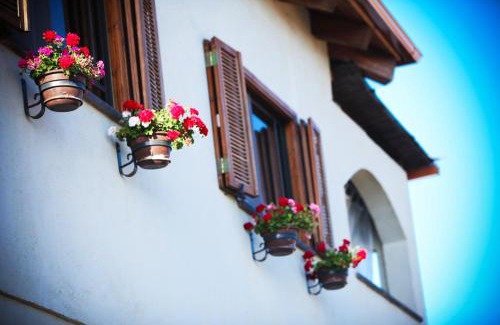 Katzrin Bed & Breakfast | סתיו בגולן