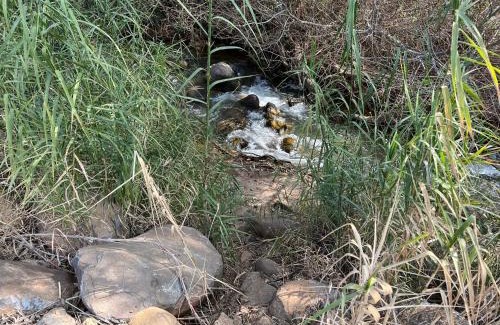 Kfar Giladi Apartment | פסגת יובלים