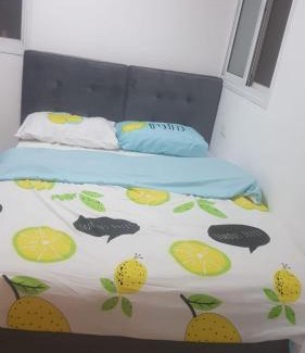 Lavi Apartment | צימר ליד טבריה כנרת בגבעת אבני יחידות אירוח