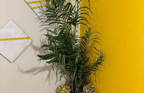 Al Ain Apartment | استيديو الصقر