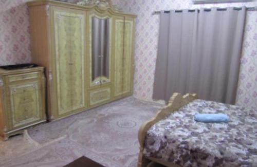 Al Hili Apartment | العين الهيلي مصباح بيت 11