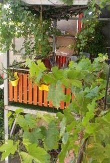 Bethlehem House | حنضلةHandala Guest House