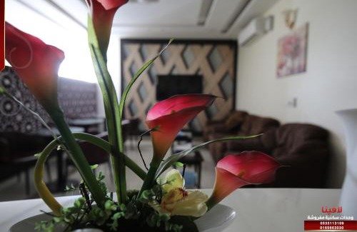 Ha'il Apartment | شقق لافينا للوحدات السكنية - المخدومة - اقتصادي