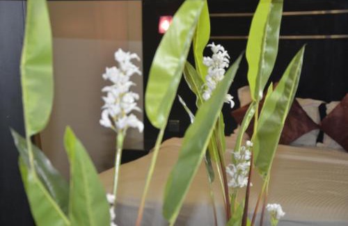 Buraydah Apartment | فيجن 2 للشقق المخدومة - اقتصادى