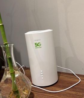 Al Aqrabiyah Apartment | ماربيلا 10