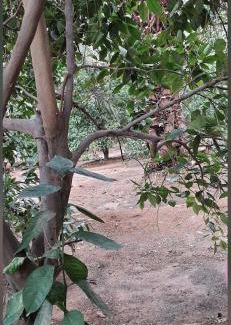 Ha'il Province Resort | منتجع أرجوان