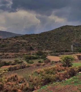 'Asir Villa | هتان السودة hattan alsodah