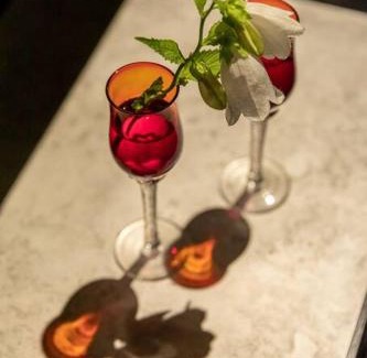 Hida Takayama Onsen Villa | すみや 青花