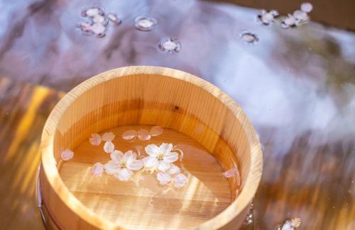 Nakatsugawa Other | グランピング 星が見の杜