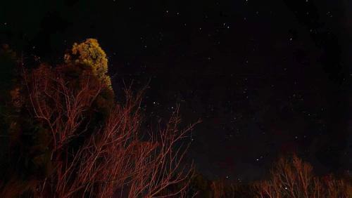 Minami Oosumi House | ゲストハウス奥屋敷城内