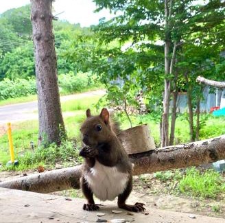 Minamifurano Villa | スヴァールバルレジデンス