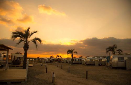 Konohana Other | パームガーデン舞洲