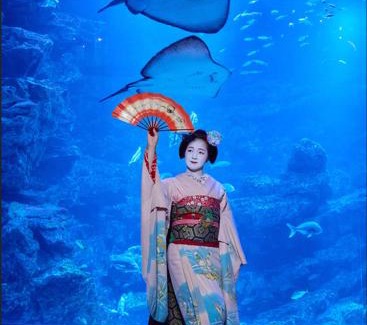 Minami Villa | 京豊京都駅近辺