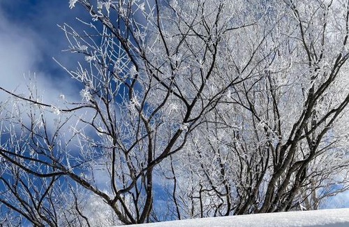 Nakajimakoen Apartment | 今年新規OP 最大9人 すすきのエリア 札幌観光に抜群の立地 空港直通バス停すぐ 高速Wi-Fi完備