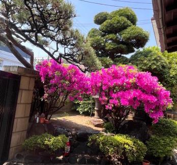 Higashisumiyoshi-ku Villa | 墨松居