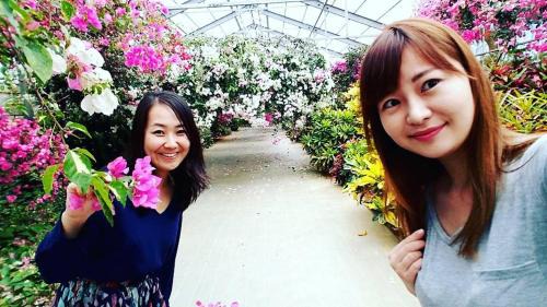 Miyakojima House | 宮古島サイクリストの宿